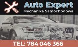 auto_expert_logo_SP18